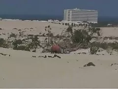 یک عکس سکسی کارتون بن تن دیک سیاه در اعماق دهان یک زن سیاه سیاه بالغ فرو می رود و بلند می شود